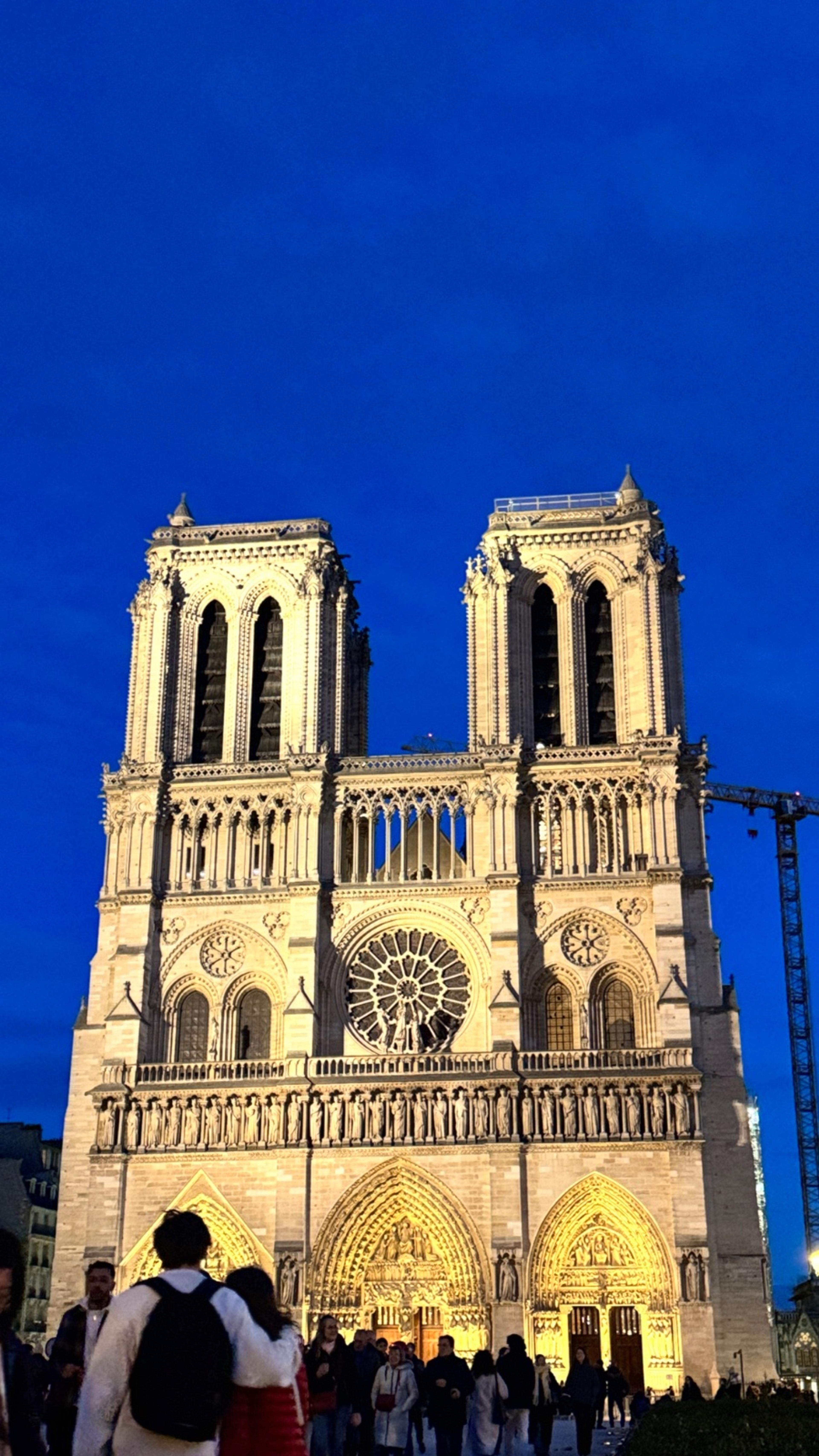 WhatsApp Image 02 12 at 13.32.41