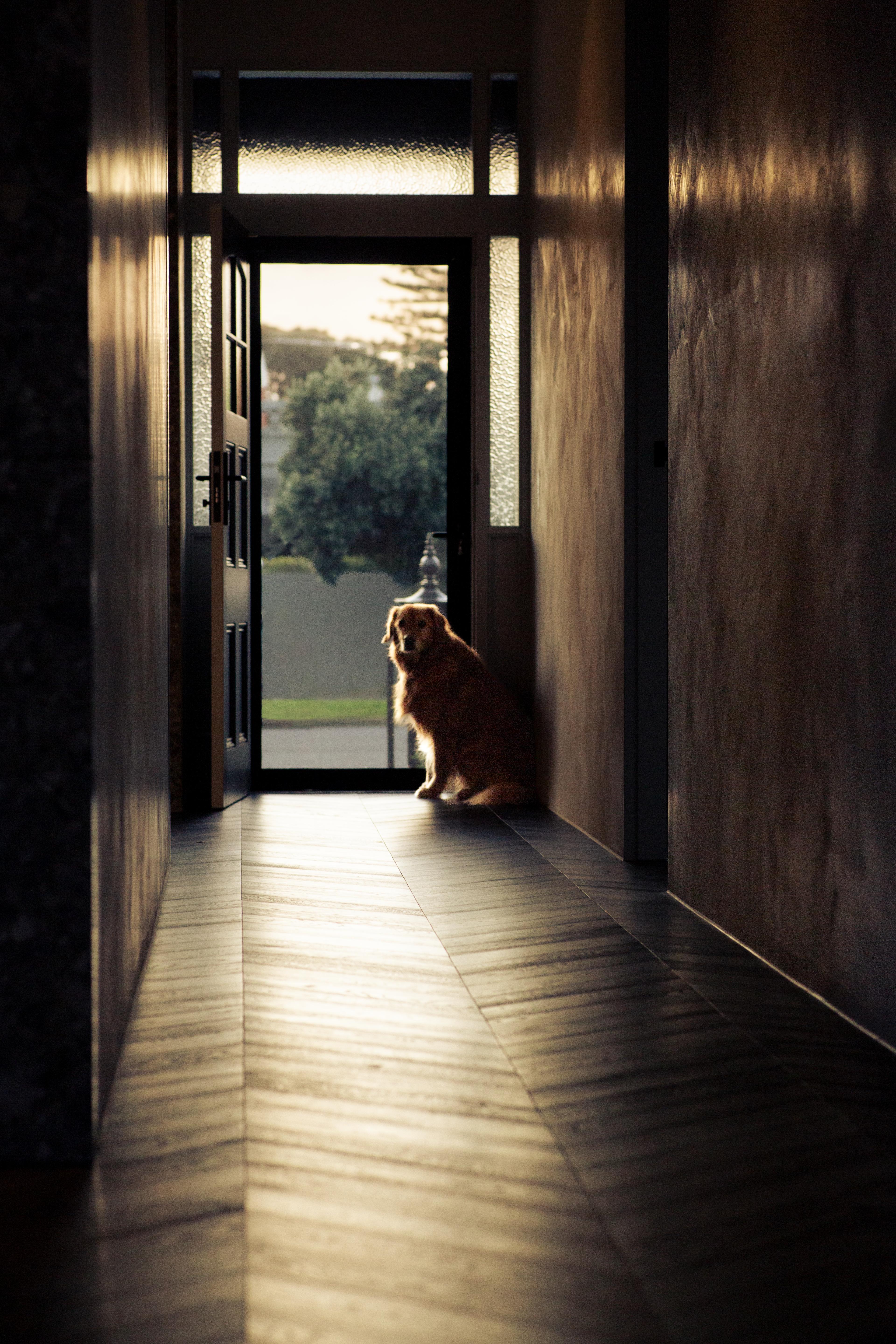 Visual media content