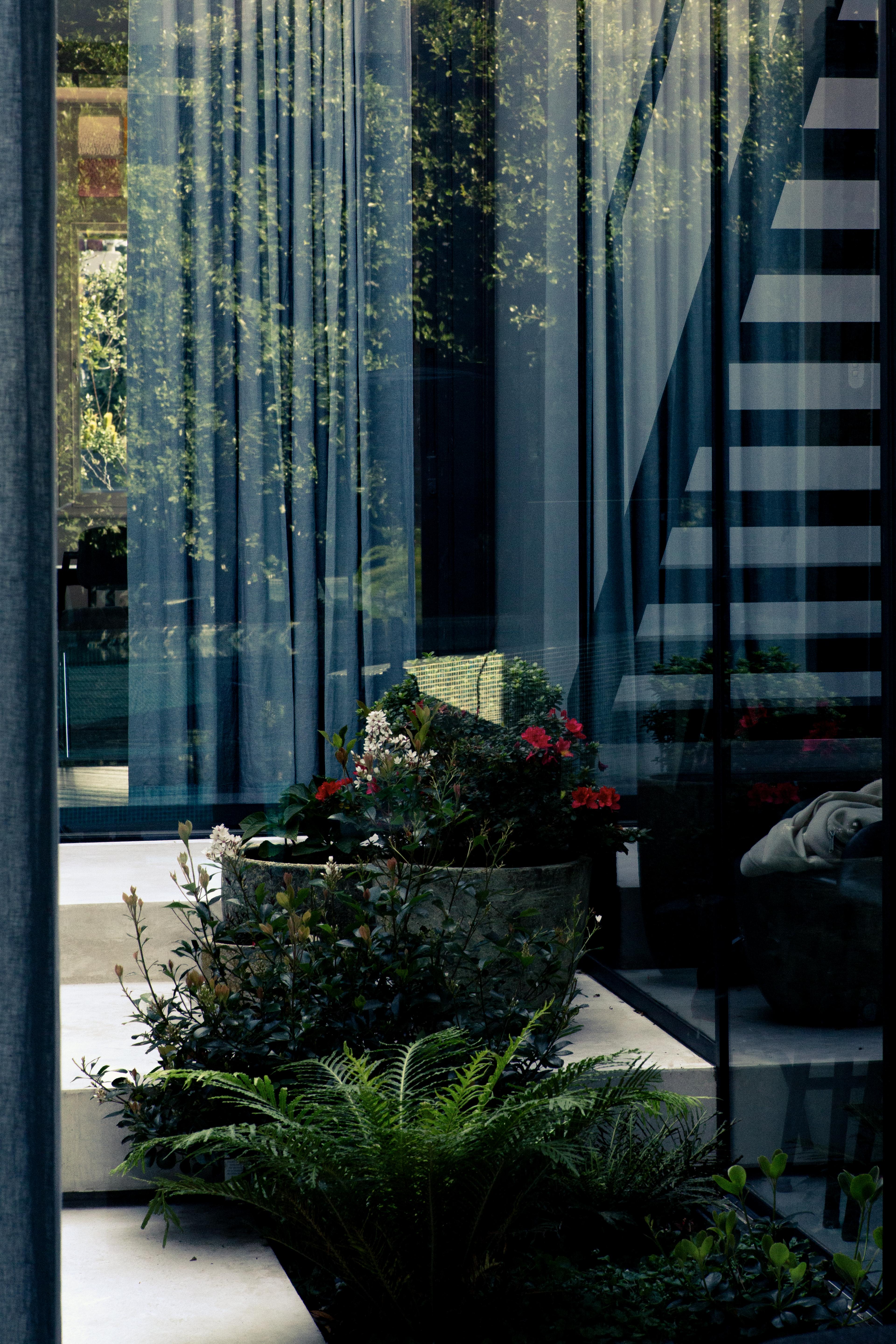 Visual media content