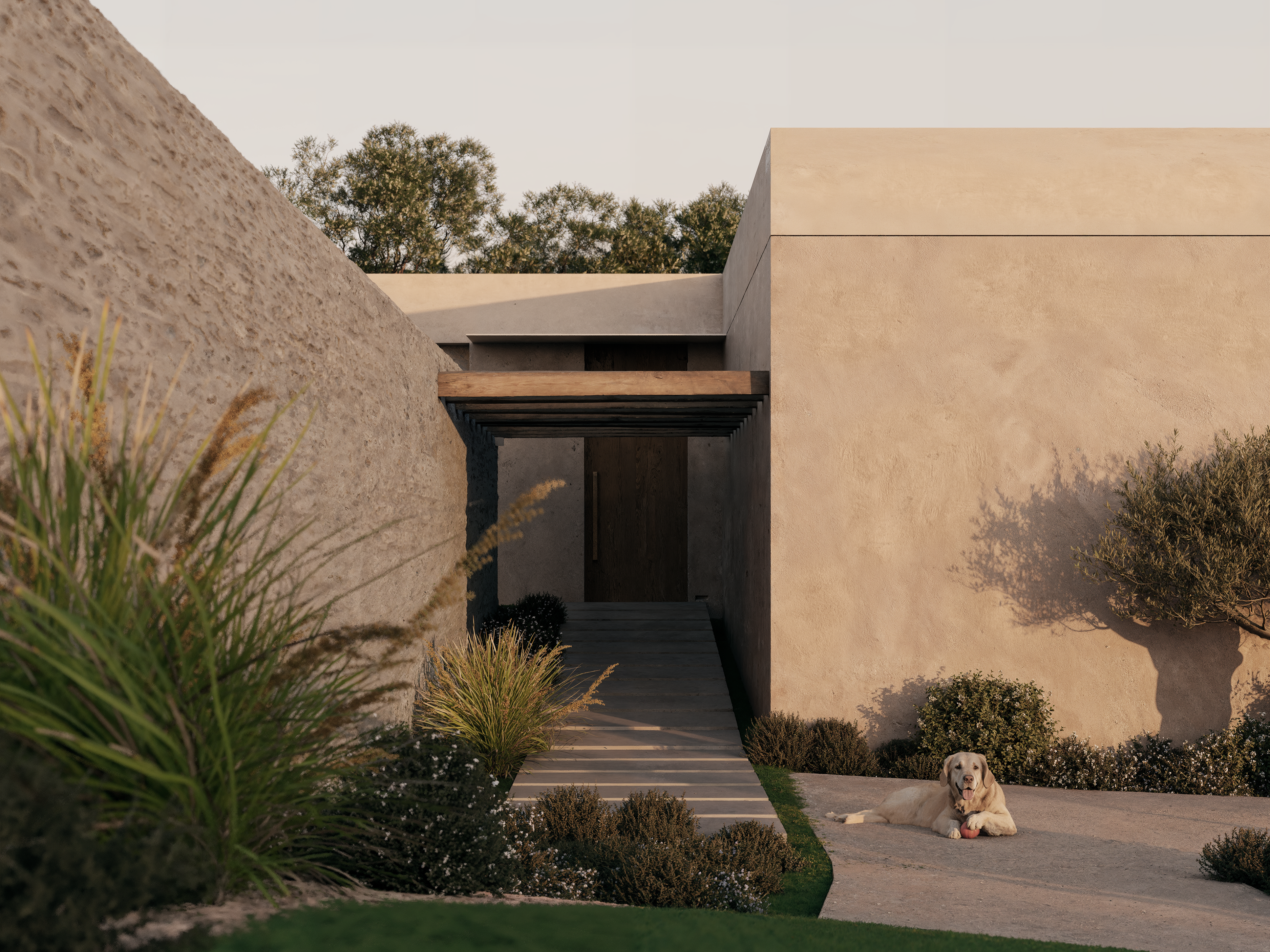 Wildcoast hero image