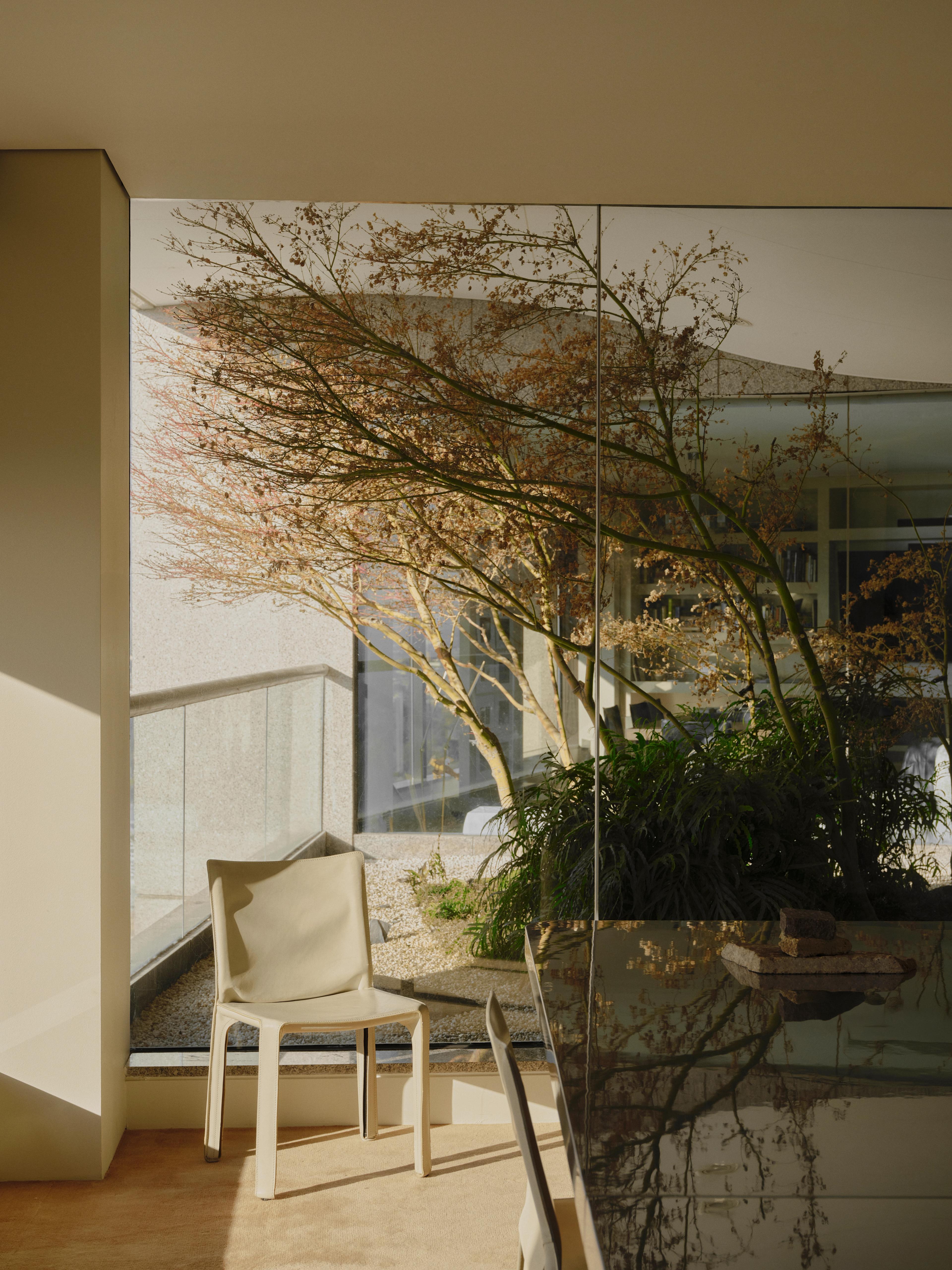 Visual media content