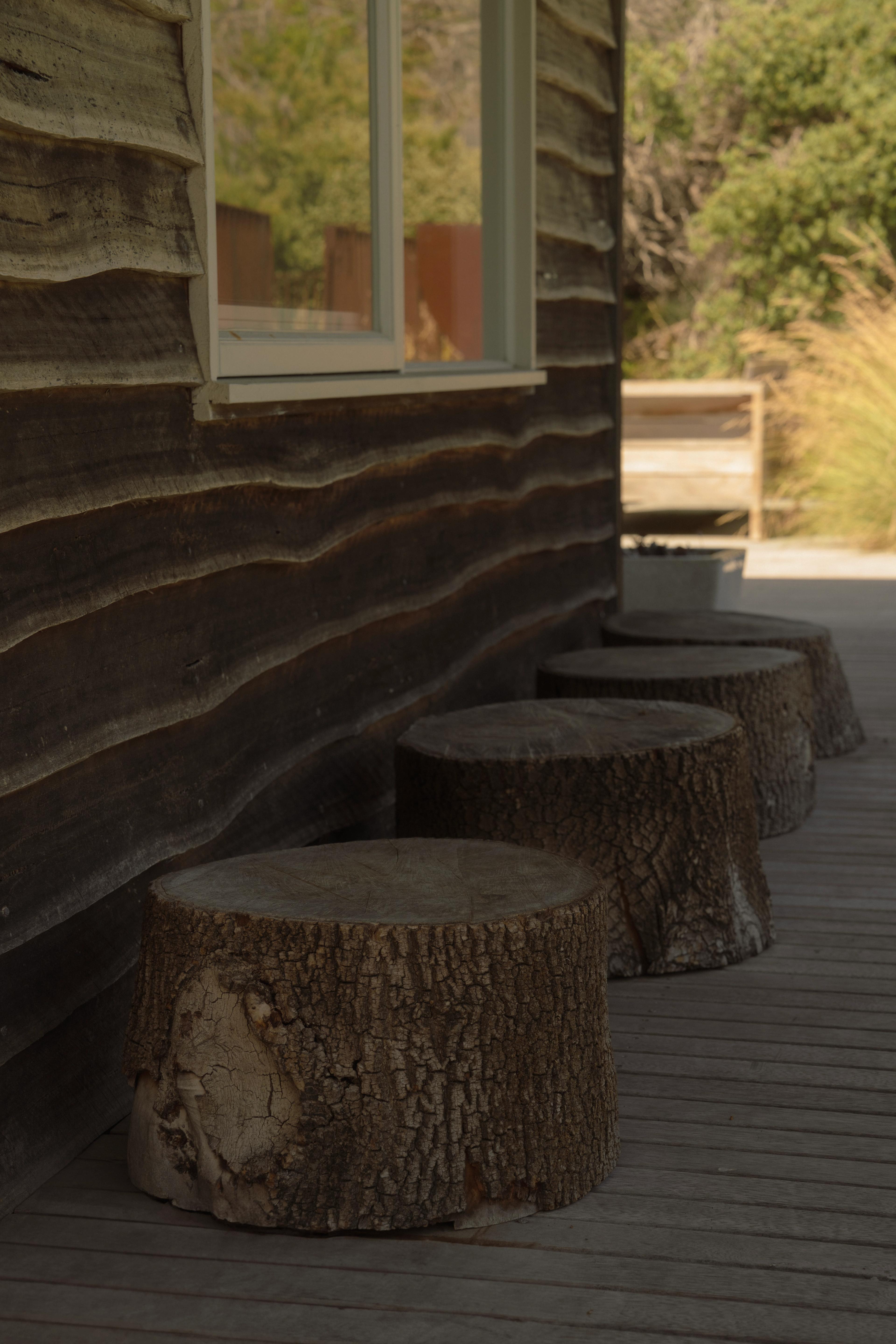 tree log seating