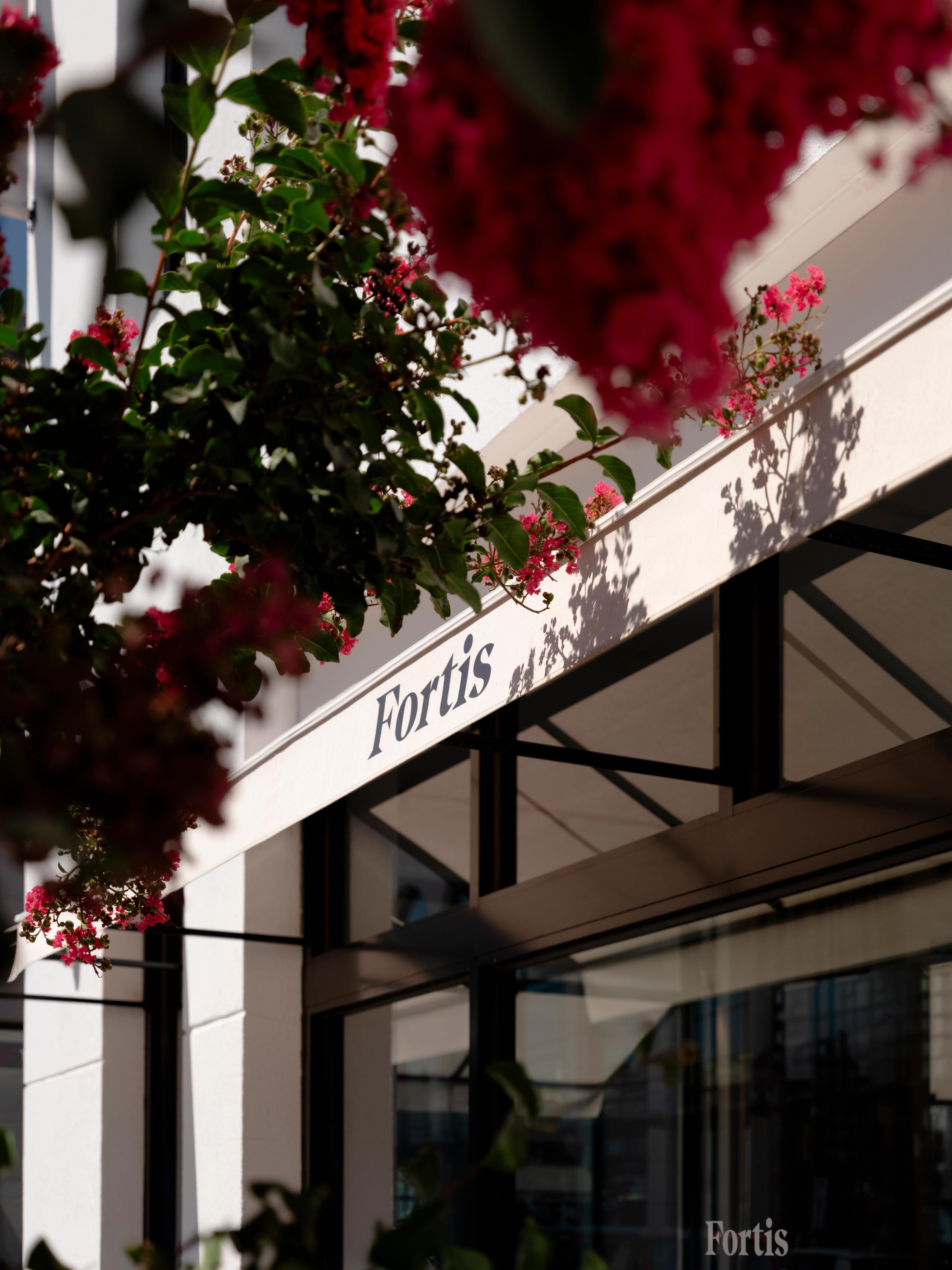 Visual media content