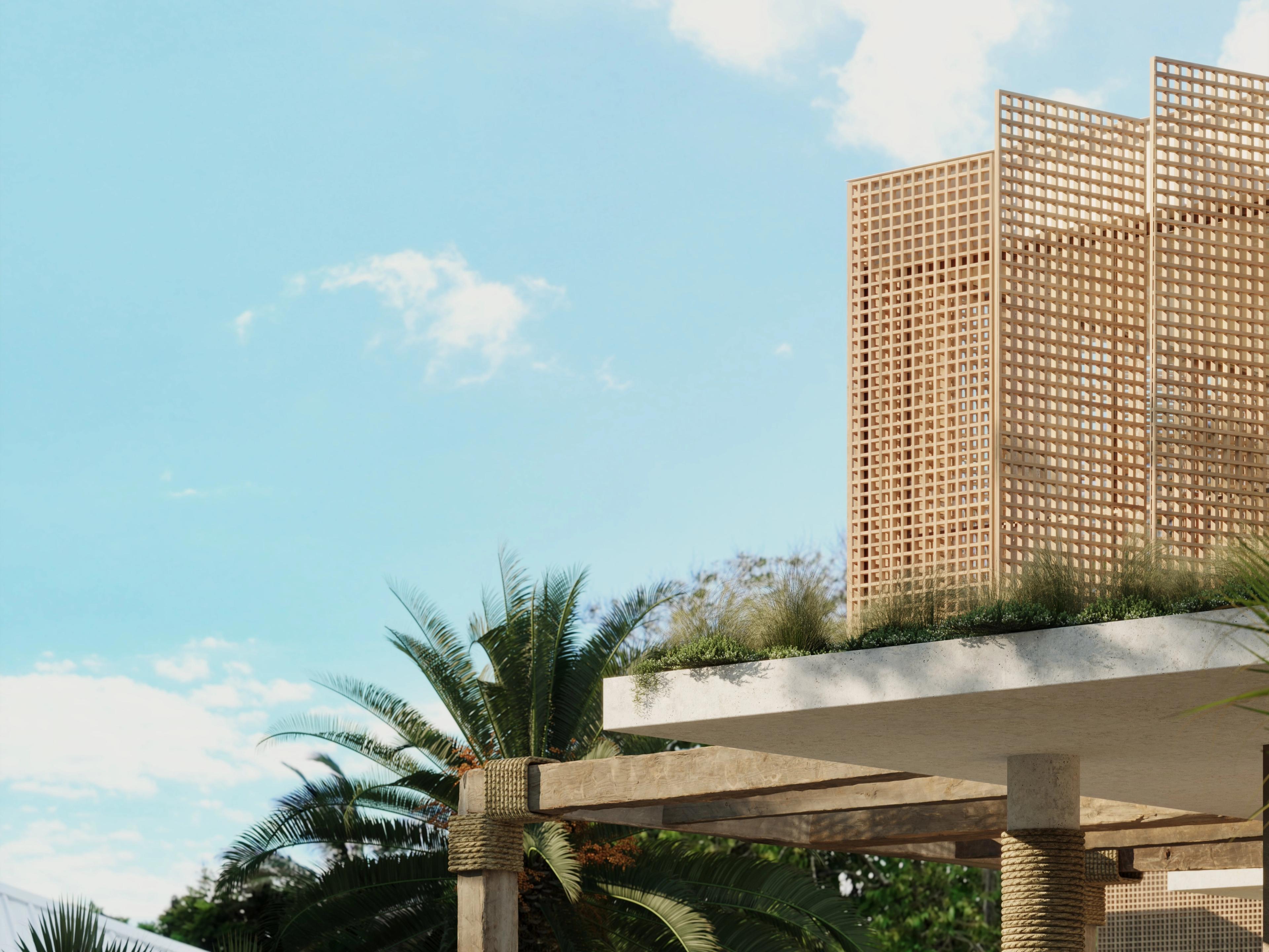 Paperbark hero image