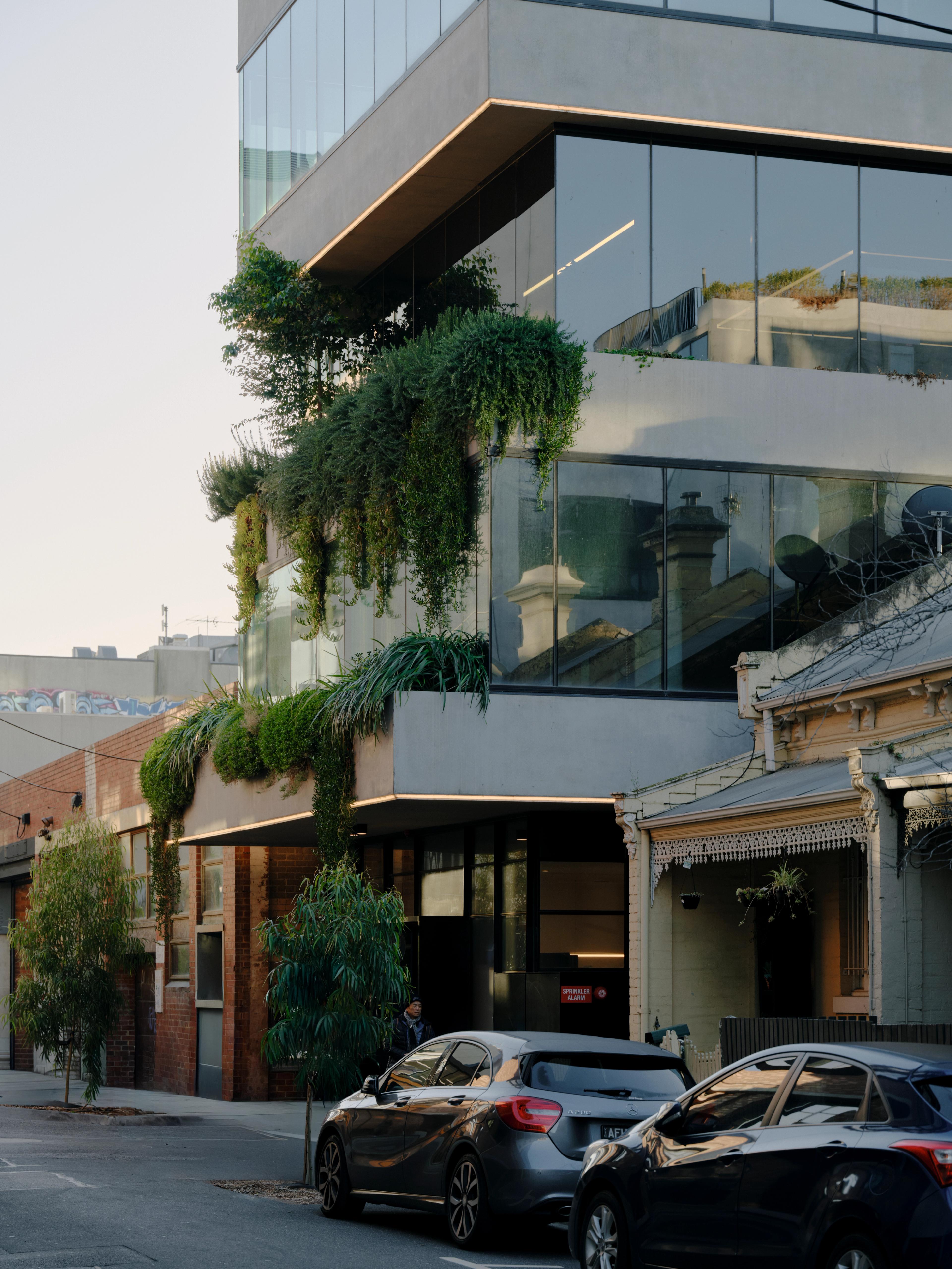 Visual media content