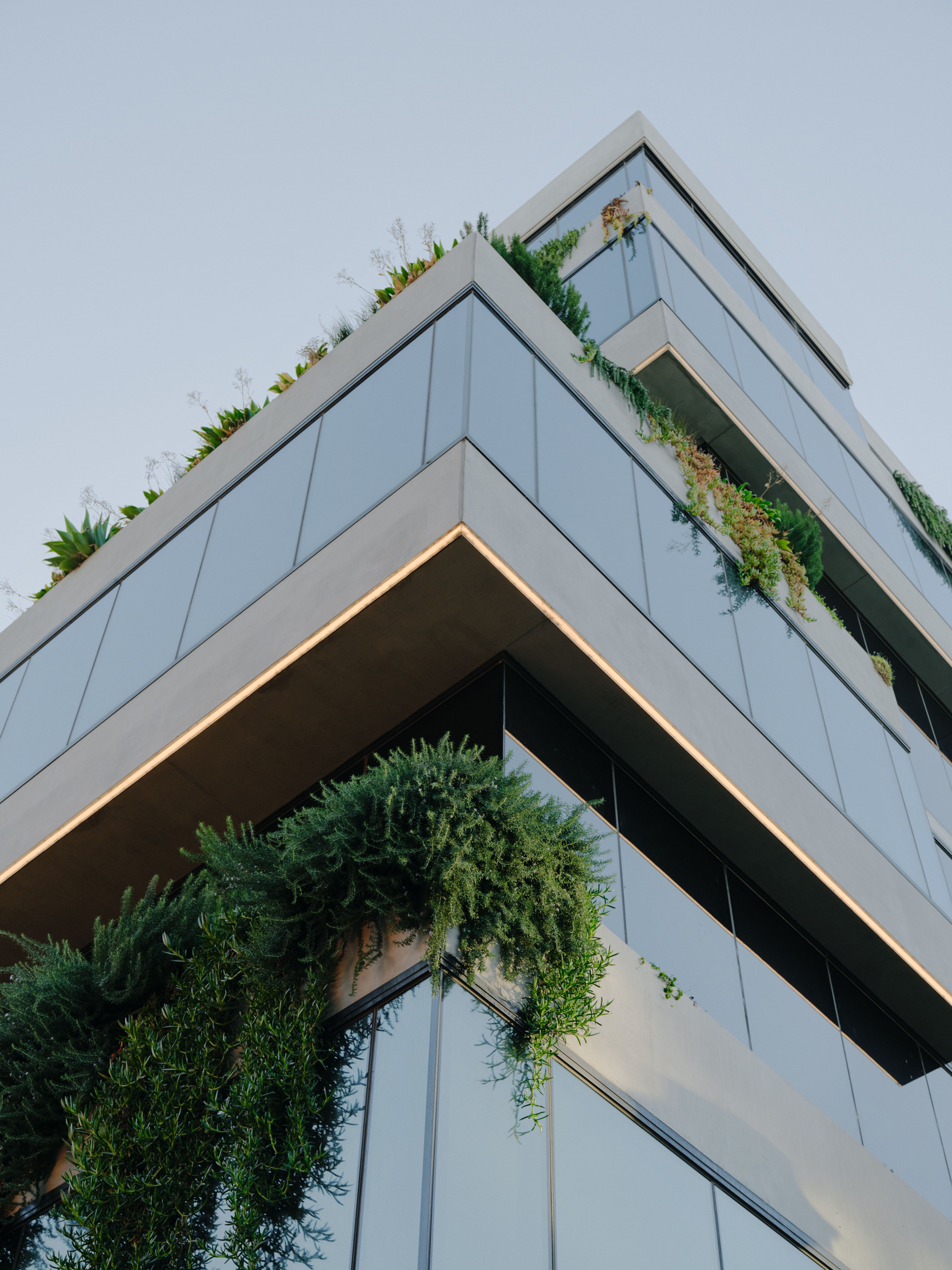 Visual media content