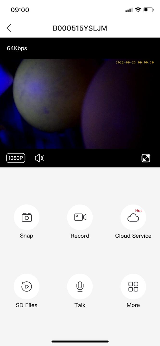 tcam app screenshot 1 — IP camera live monitoring interface