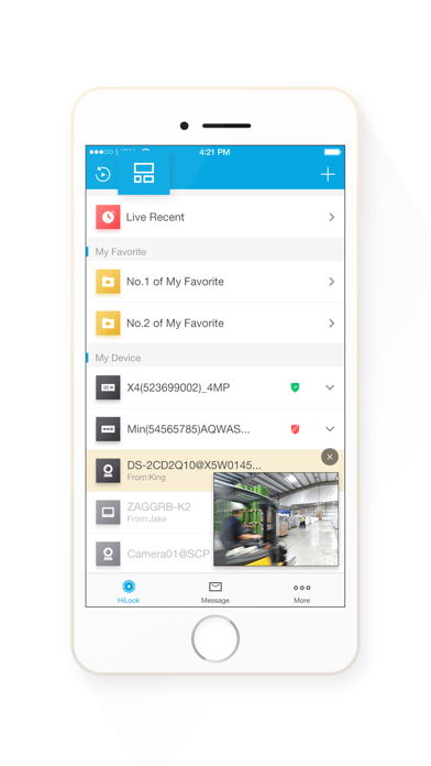 HiLookVision app screenshot 1
