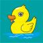 CAMDUCK App Logo