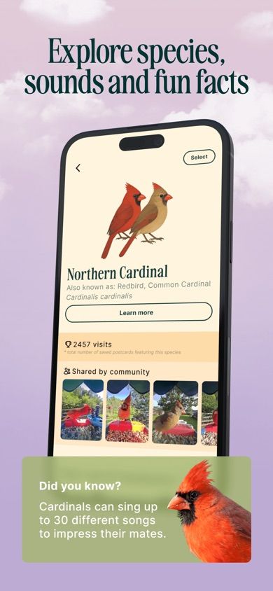 Bird Buddy app screenshot 3