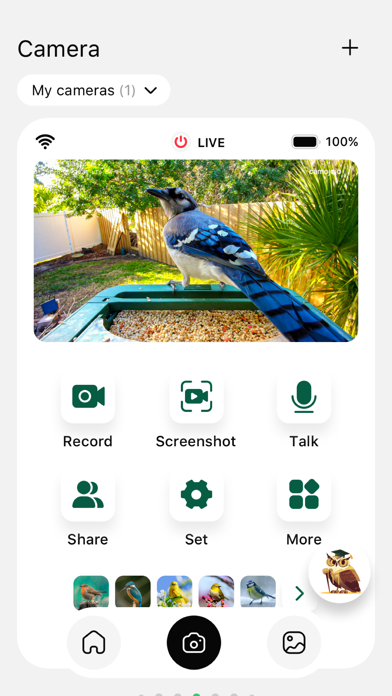 Hibird Cam app screenshot 3