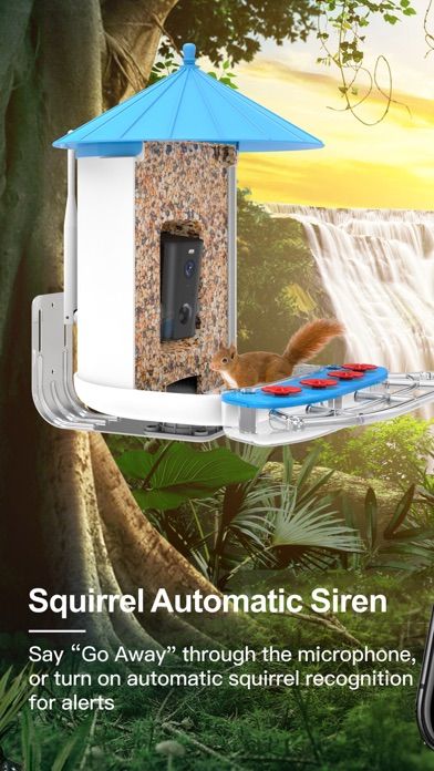 Bird Lover app screenshot 2