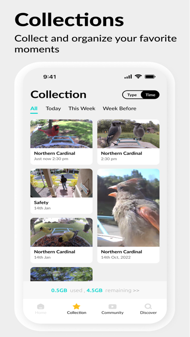 Netvue Next app screenshot 2