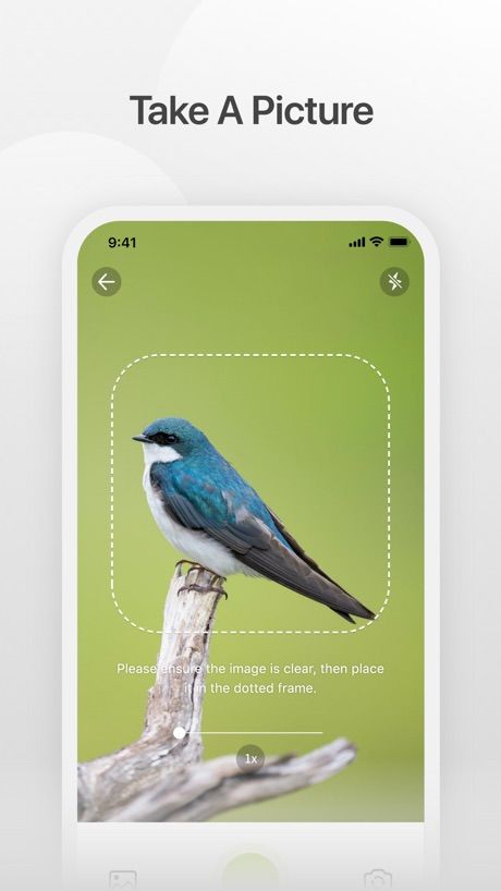 Bird V app screenshot 2