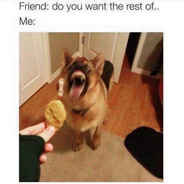 Dog meme #2
