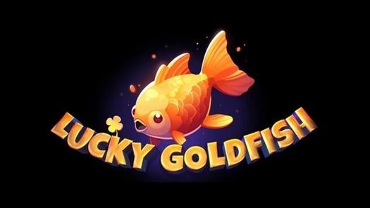 Lucky Goldfish