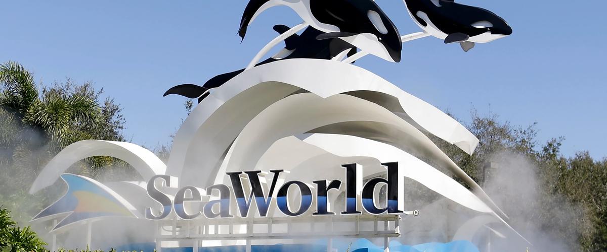 SeaWorld Orlando