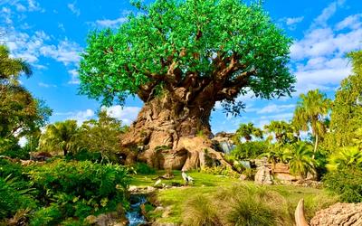 Animal Kingdom