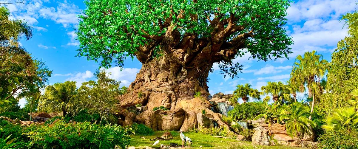 Animal Kingdom