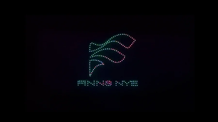 FINNS Logo