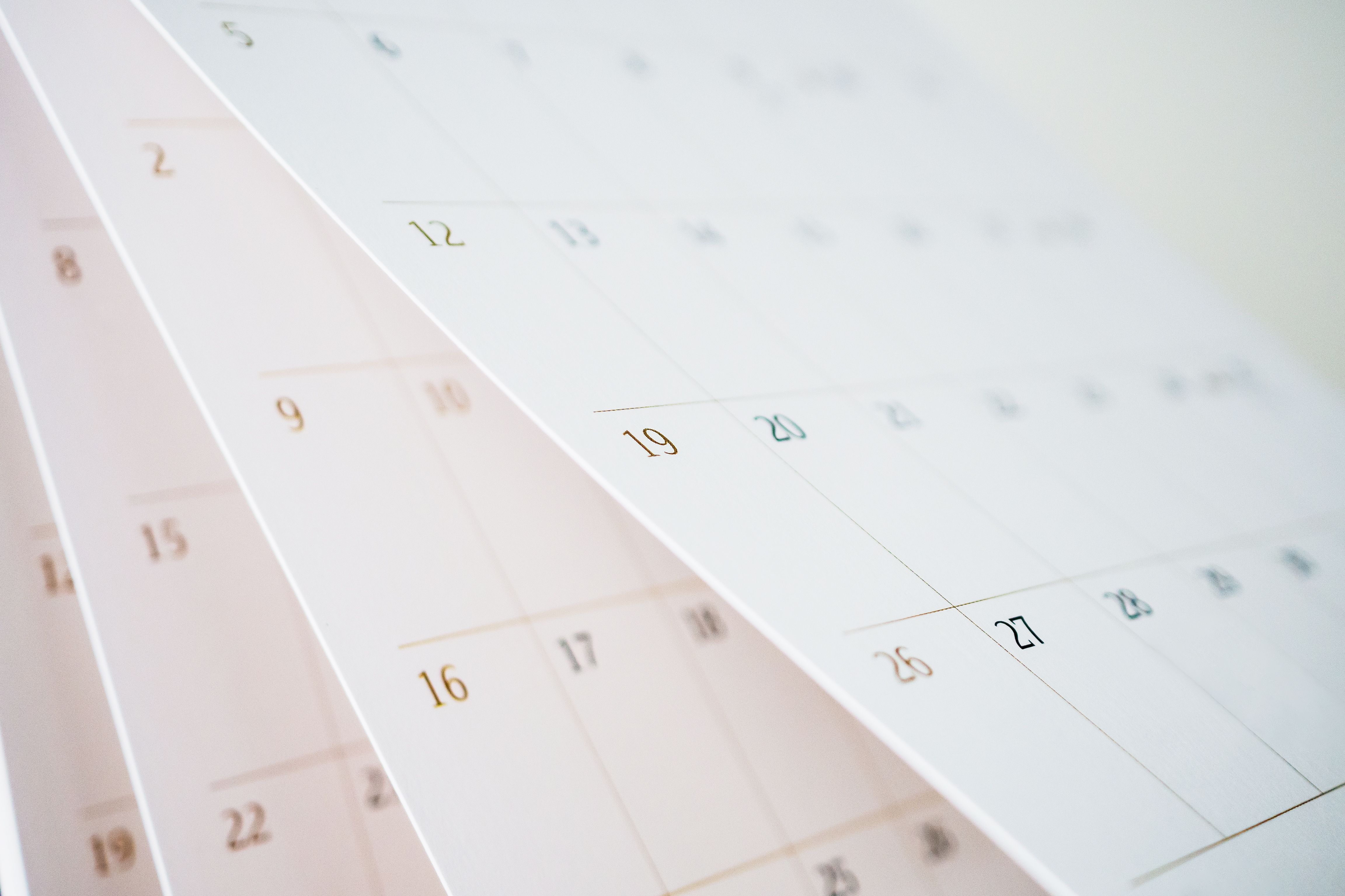 Your upcoming tax calendar for July and August