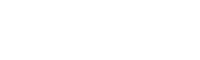 Zero Dry Time logo
