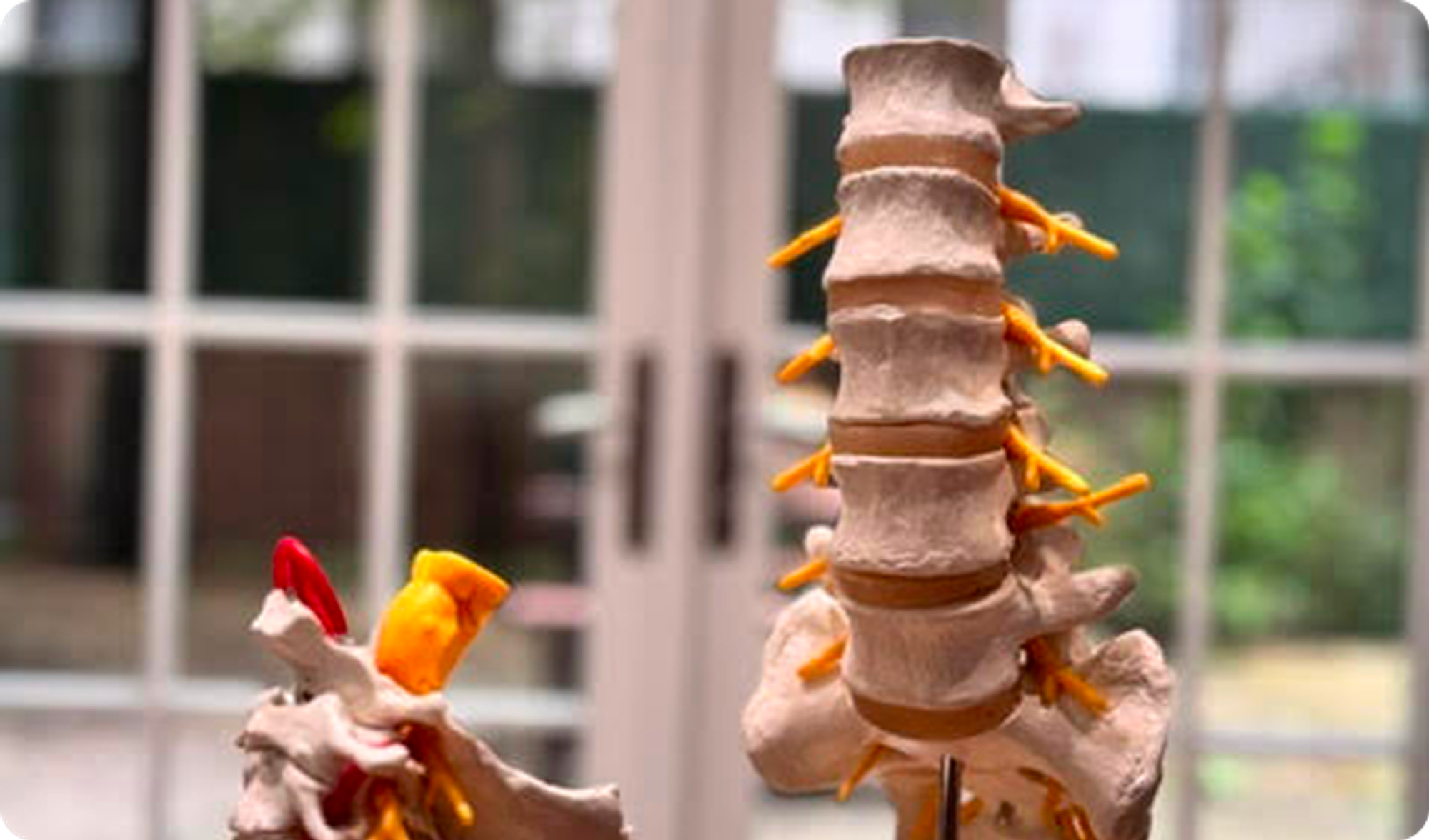 Lowest Risk of Any Spine Surgery