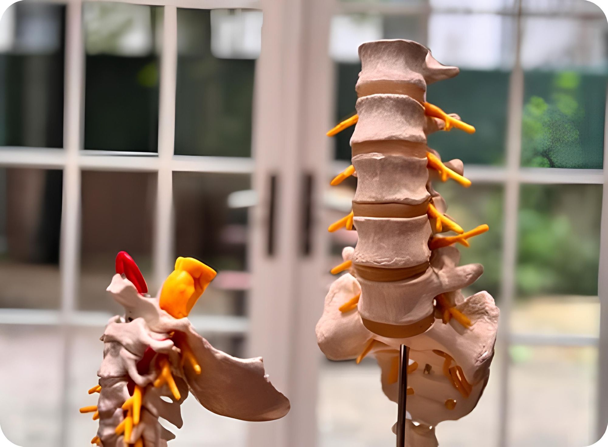 Schedule a Cervical Spine Consultation