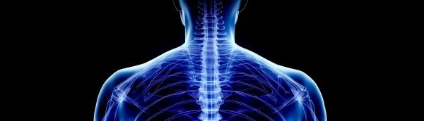 Endoscopic Spine Surgery: The ESINY Method of Minimally Invasive Spinal Care