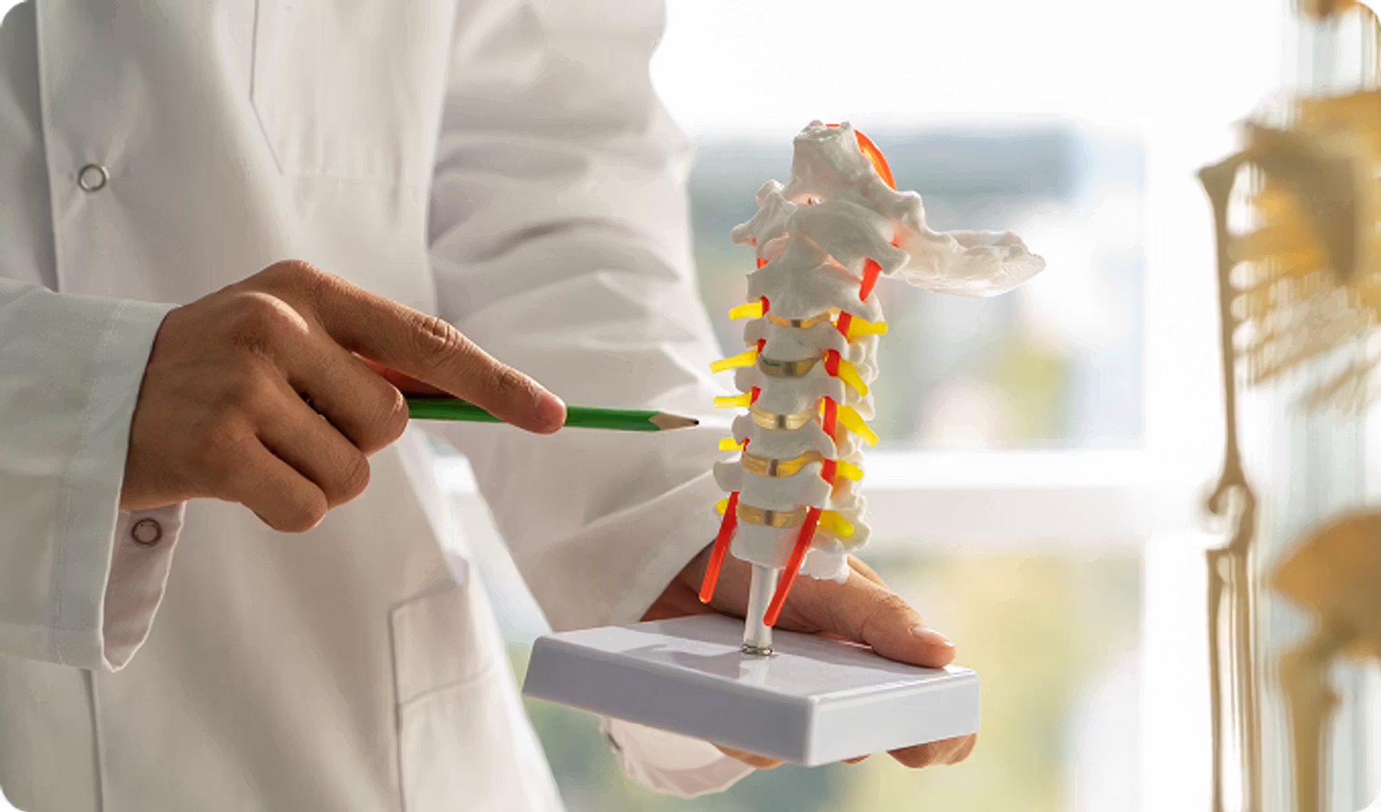 The Go-To For Other Spine Doctors