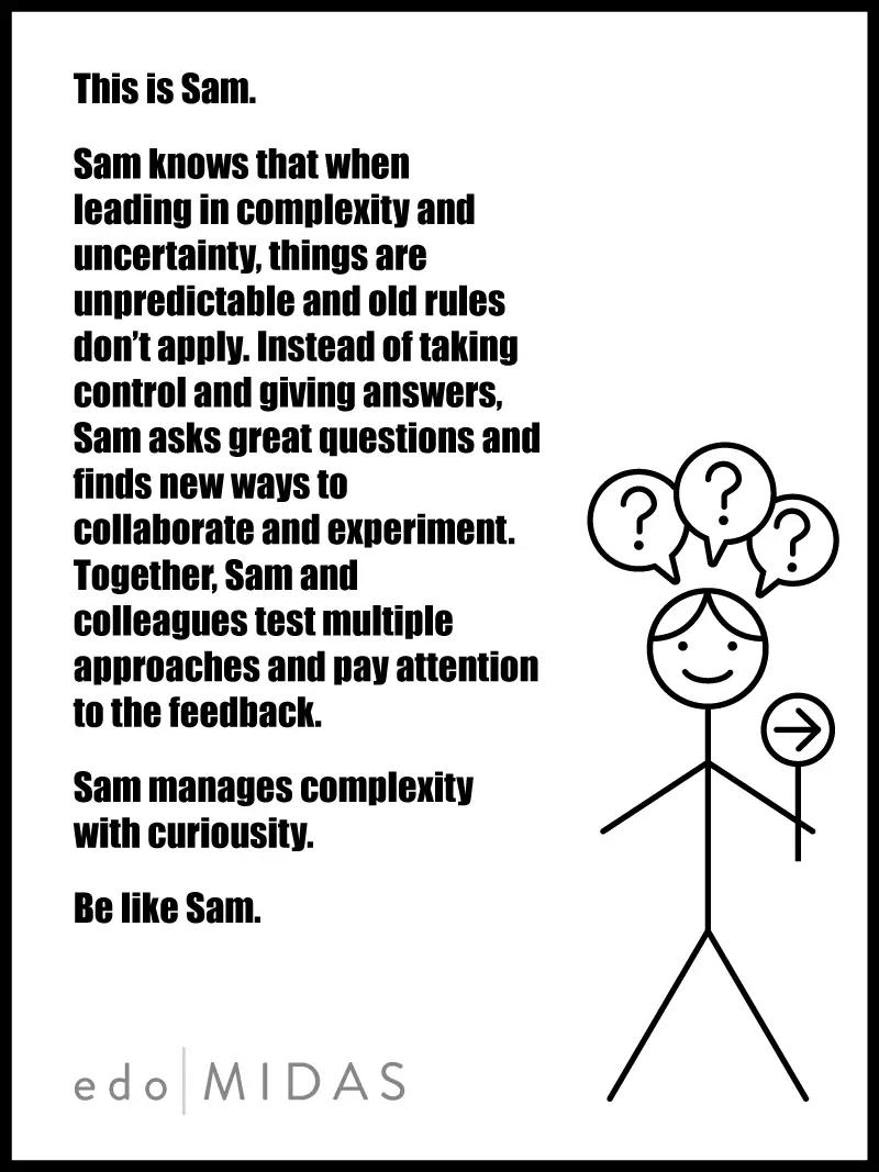 Leading Complexity - Be like Sam