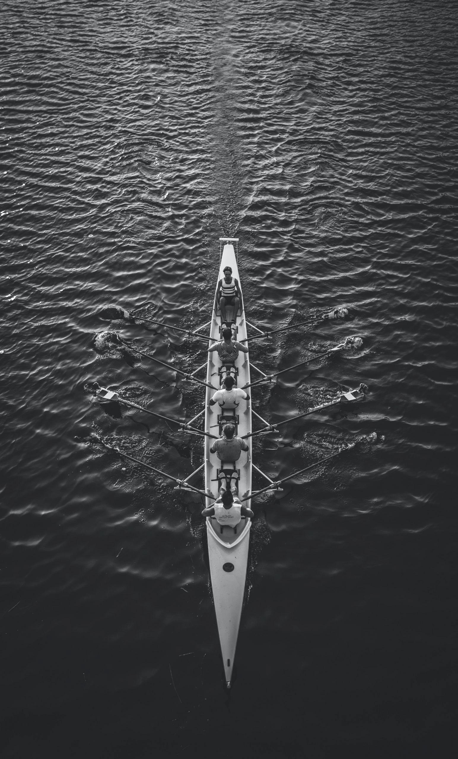 Leading a high performing team
