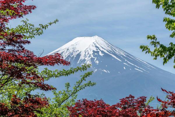 tokyo tours, halal Freindly tours