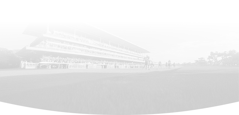 Bottom Oval Decoration Mobile - horses