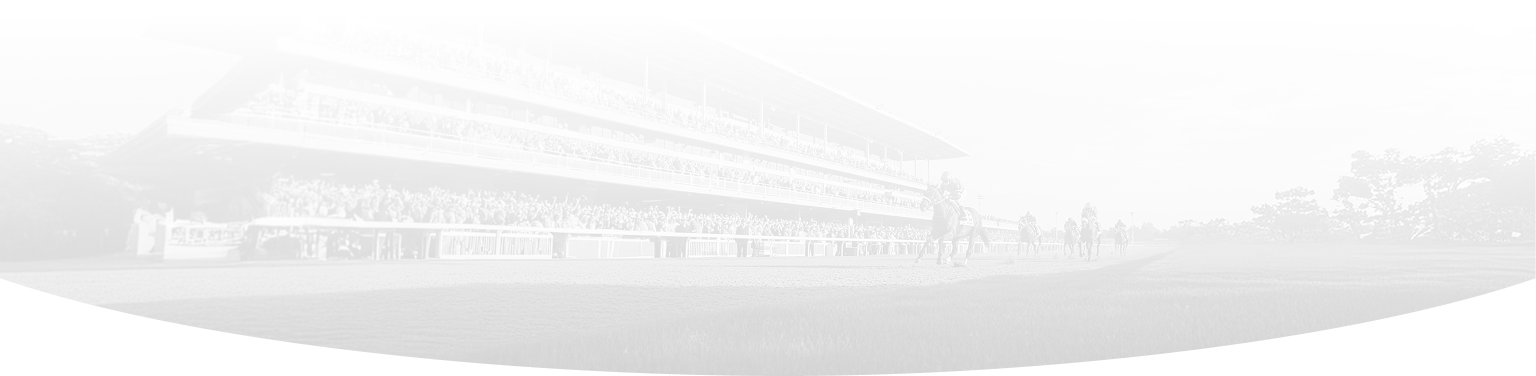 Bottom Oval Decoration Tablet - horses