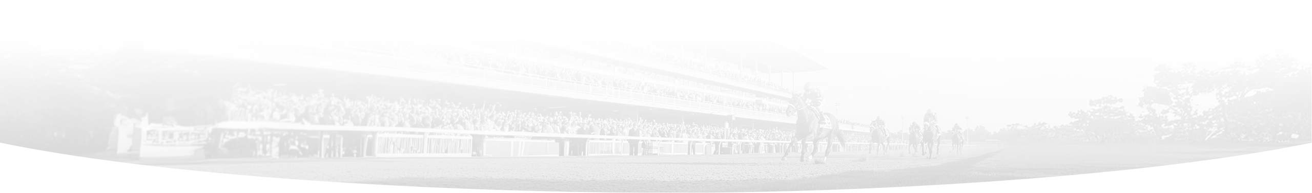 Bottom Oval Decoration Desktop - horses