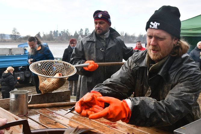 Prodej ryb Plzeň Prodej ryb Plzeň