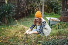 V říjnu roste na zahradě poklad pro bolestivé klouby.