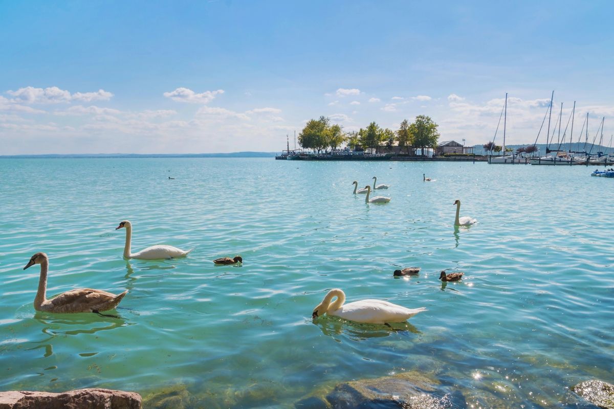 „Tohle jsme nečekaly.“ Turistky popisují, co je na Balatonu šokovalo nejvíc „Tohle jsme nečekaly.“ Turistky popisují, co je na Balatonu šokovalo nejvíc