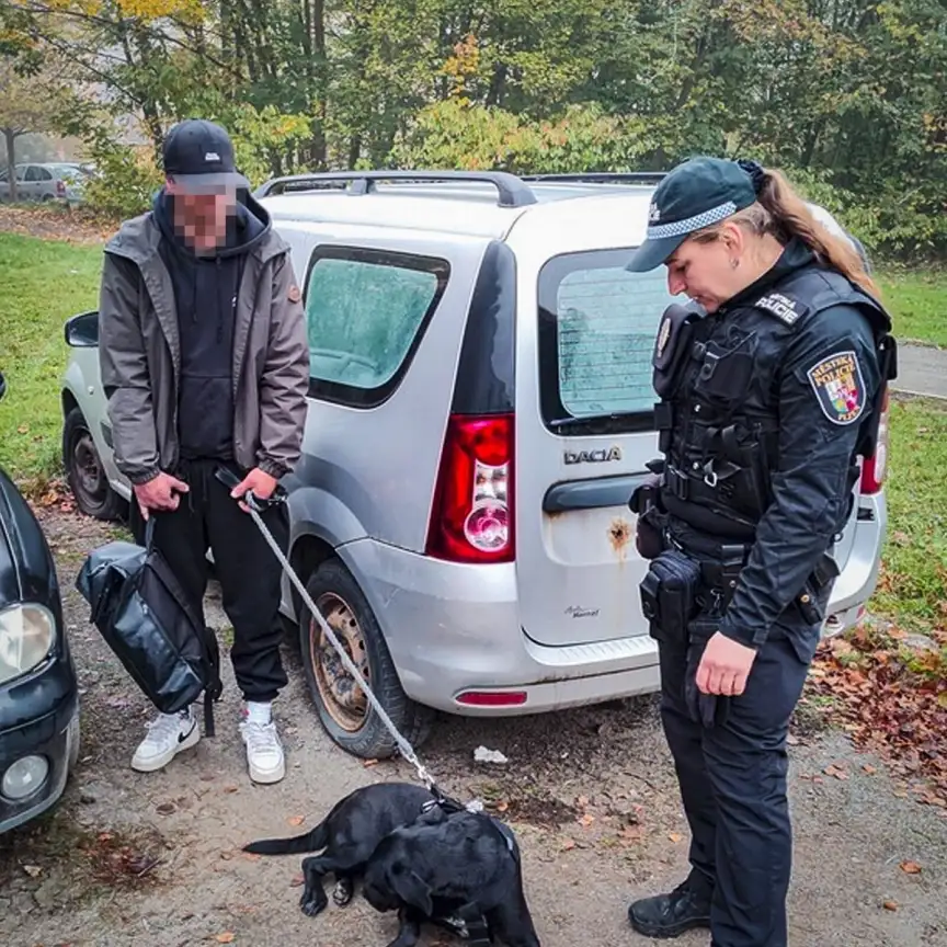 Policisté v Plzni slaví úspěchy.