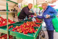 Nakupujete ovoce z Polska? Testy odhalily nečekané nebezpečí, odborníci varují