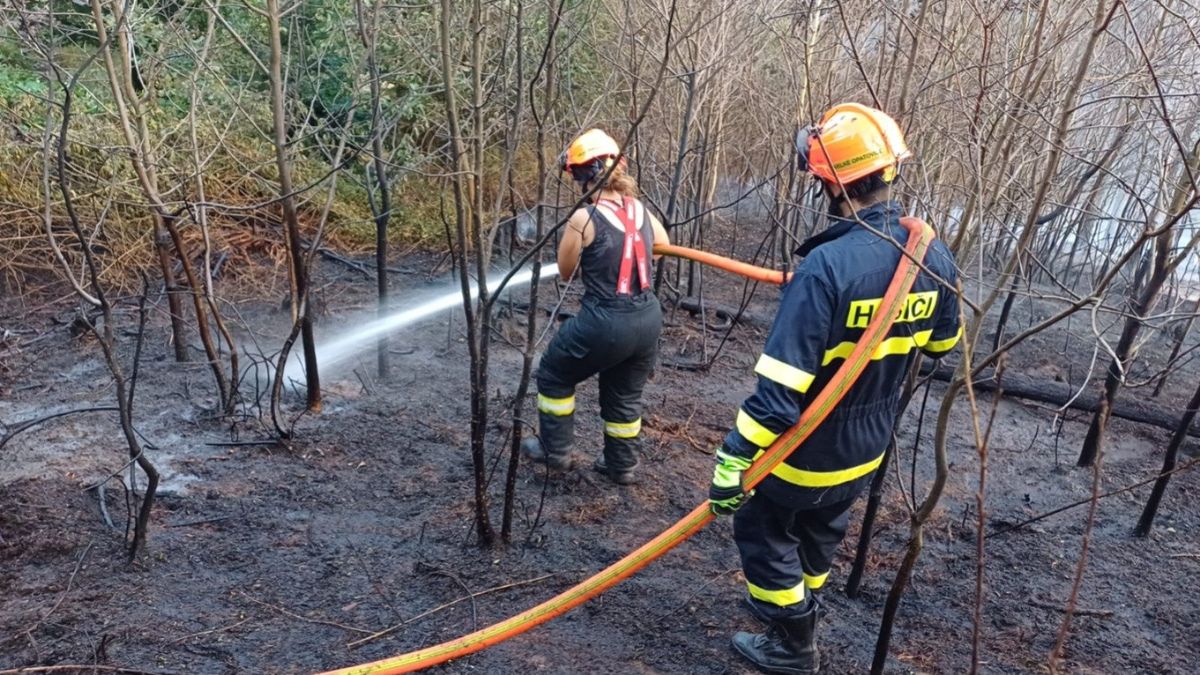 V Městečku Trnávka začal hořet les. Podívejte se na tu zkázu V Městečku Trnávka začal hořet les. Podívejte se na tu zkázu