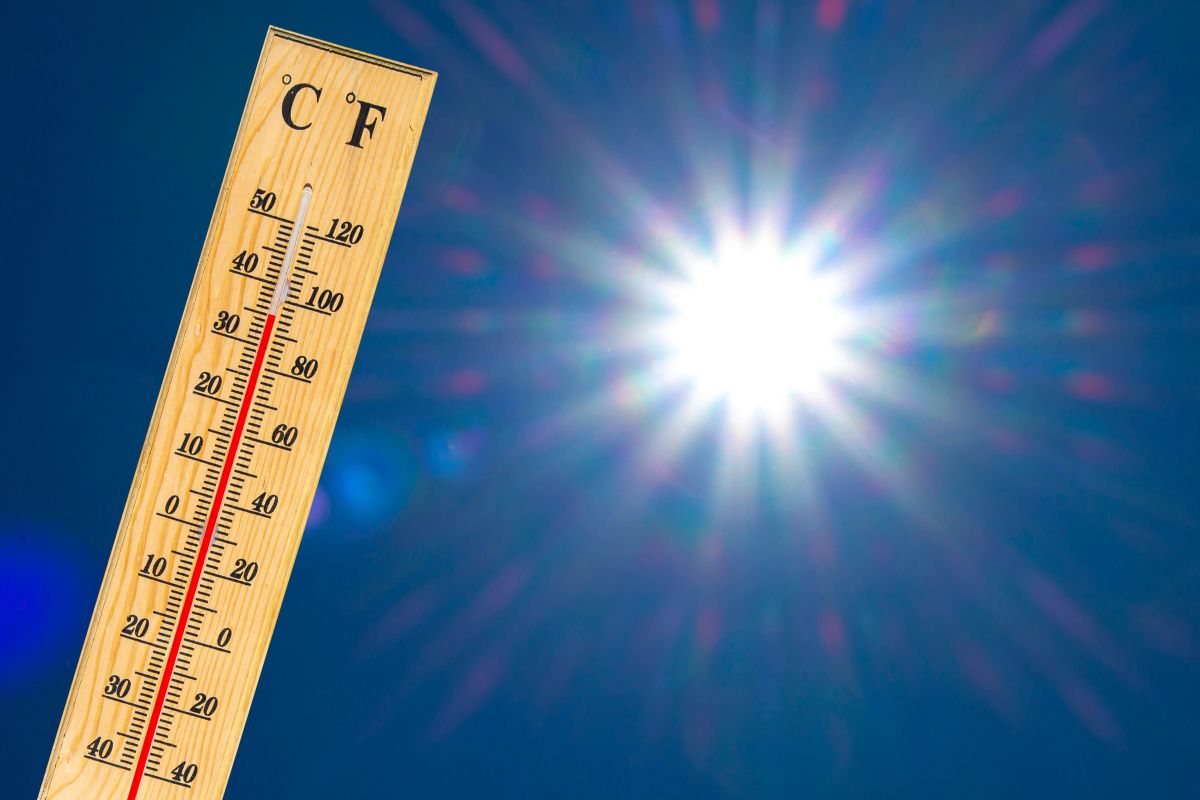 Letošní vedra šokují experty. Odborníci vysvětlují, proč máme nejvíce tropů od roku 2019 Letošní vedra šokují experty. Odborníci vysvětlují, proč máme nejvíce tropů od roku 2019
