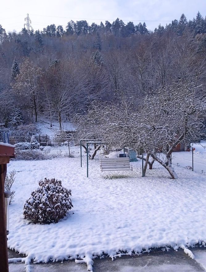 První letošní sníh je tady. První letošní sníh je tady.