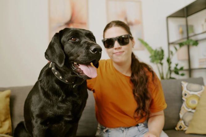 Labradoři jsou nejen přátelští, ale dokáží být i pořádní nezbedové Labradoři jsou nejen přátelští, ale dokáží být i pořádní nezbedové