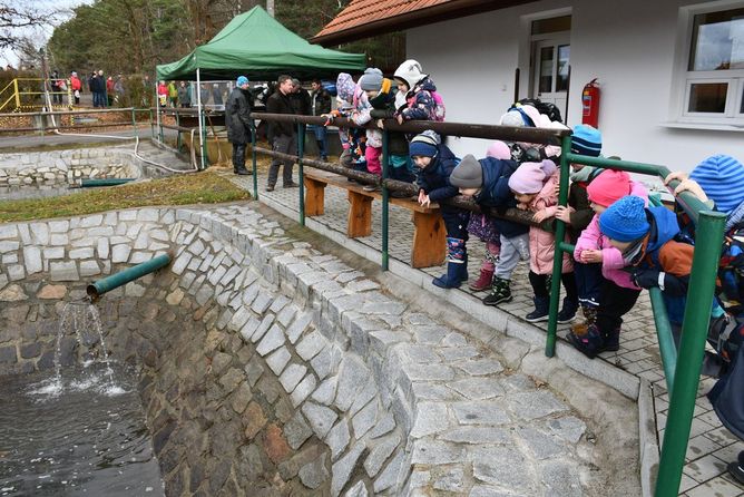 Prodej ryb v Plzni byl zahájen. Prodej ryb v Plzni byl zahájen.
