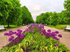 Toto je bezkonkurenčně nejlepší lék na nachlazení a počínající chřipku. 