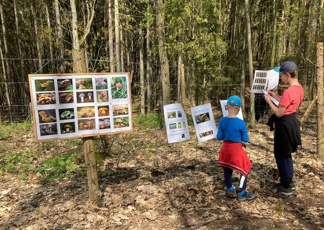 Přijďte obnovit les. Přijďte obnovit les.