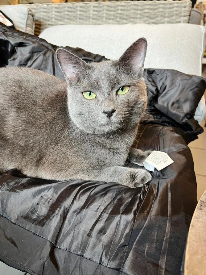 Kočíčí kavárna Plzeň Kočíčí kavárna Plzeň