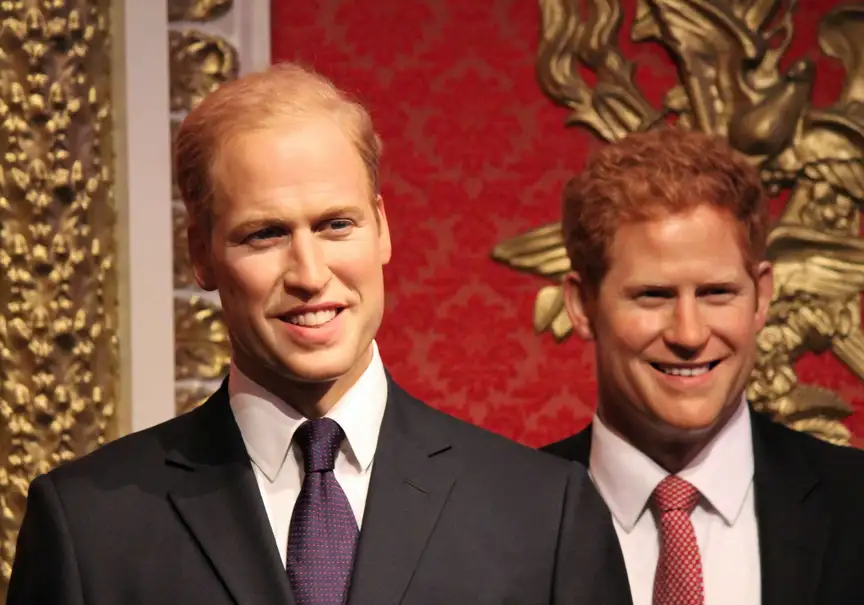 Princ Harry a princ William